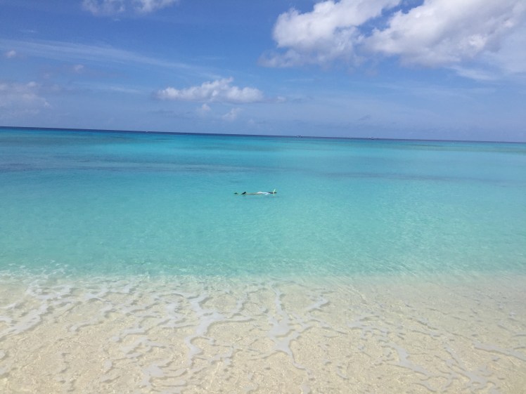 2017-07-27_11-12-05_705