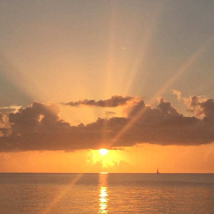 2017-07-29_19-52-10_257(1)